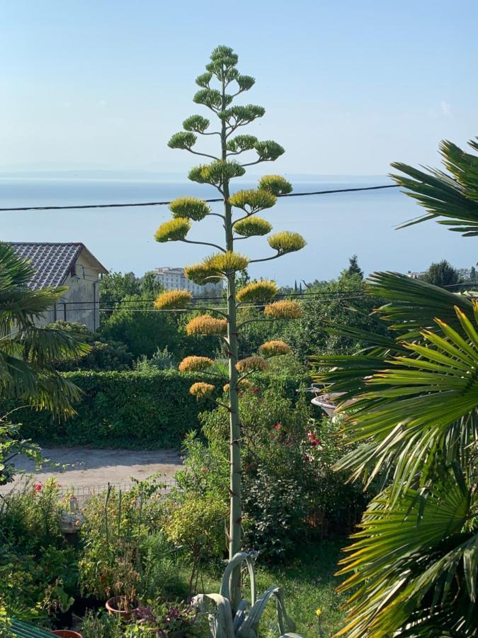 Holiday House Marica 로브란 외부 사진